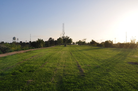 Enlarge photo 62