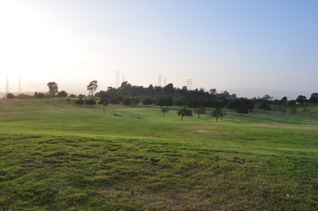 Enlarge photo 64