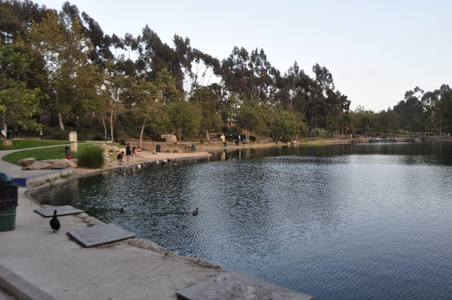 Enlarge photo 70