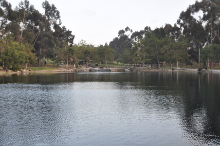 Enlarge photo 71