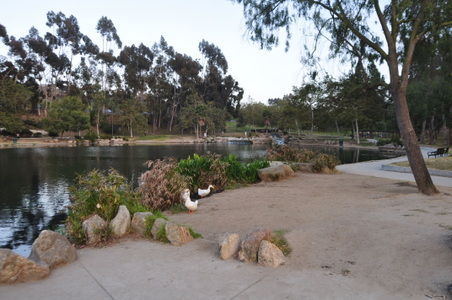 Enlarge photo 72
