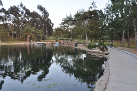 Enlarge photo 73