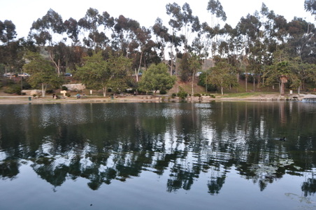 Enlarge photo 74