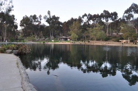 Enlarge photo 75
