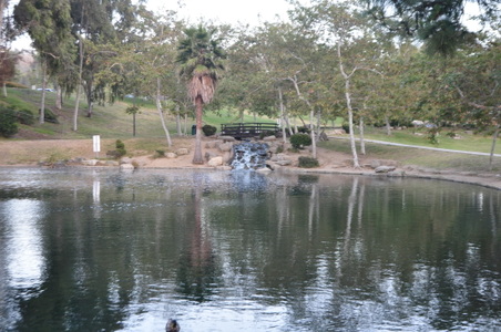 Enlarge photo 78