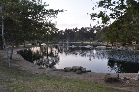 Enlarge photo 79