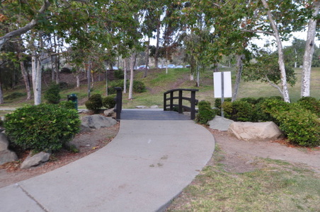 Enlarge photo 81