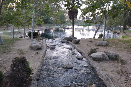 Enlarge photo 82