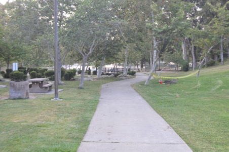 Enlarge photo 86