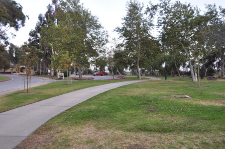 Enlarge photo 91
