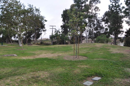Enlarge photo 92