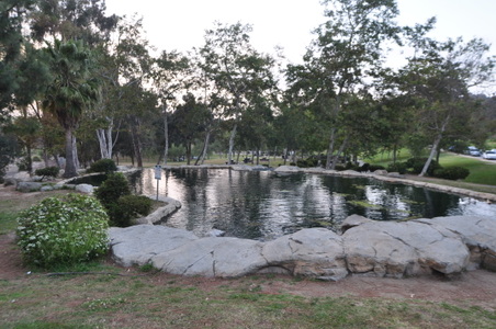 Enlarge photo 93