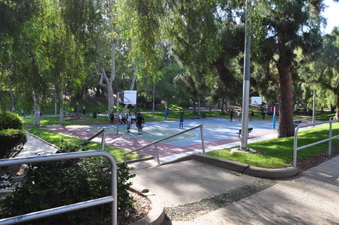 Enlarge photo 5