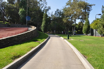 Enlarge photo 36