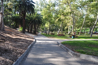 Enlarge photo 38
