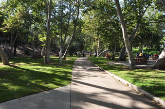 Enlarge photo 39