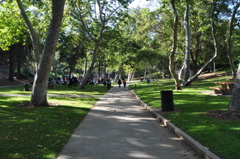 Enlarge photo 42