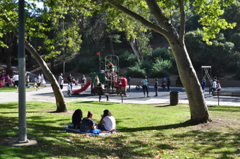 Enlarge photo 45