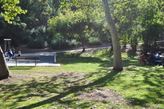 Enlarge photo 46