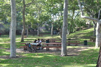 Enlarge photo 47