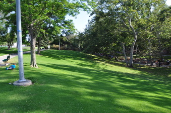 Enlarge photo 49
