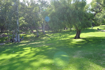 Enlarge photo 51