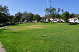 Enlarge photo 54