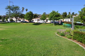 Enlarge photo 55