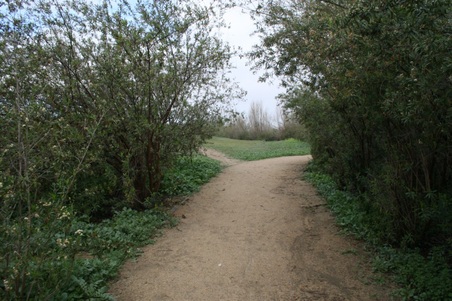 Enlarge photo 4