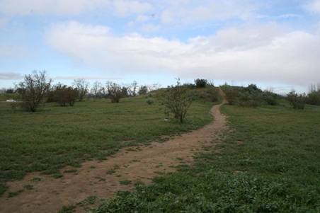 Enlarge photo 6