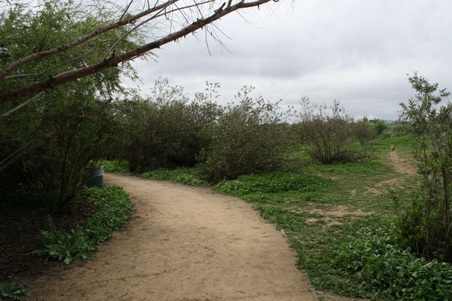 Enlarge photo 11