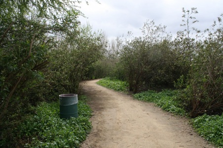 Enlarge photo 12