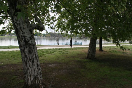 Enlarge photo 16