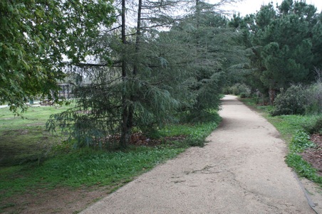 Enlarge photo 17