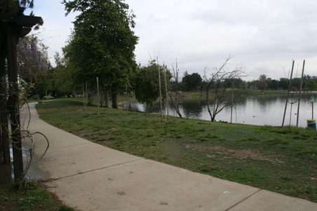 Enlarge photo 21