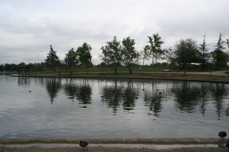 Enlarge photo 22