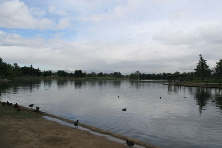 Enlarge photo 24