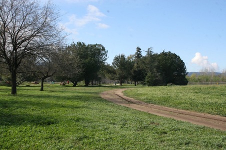 Enlarge photo 26
