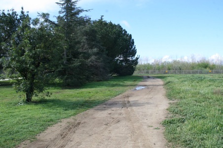 Enlarge photo 28