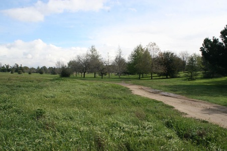 Enlarge photo 29