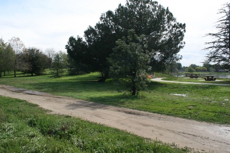 Enlarge photo 30