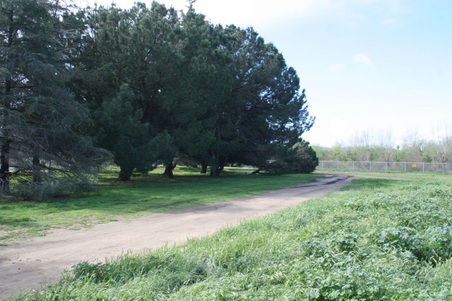 Enlarge photo 33