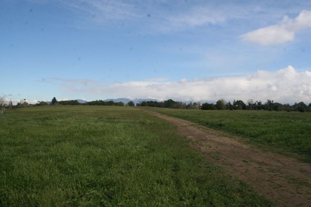 Enlarge photo 34