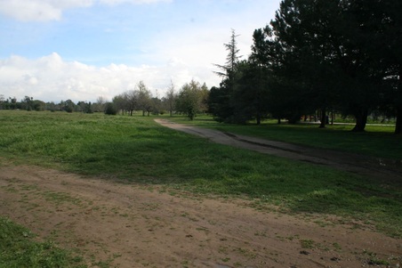 Enlarge photo 35