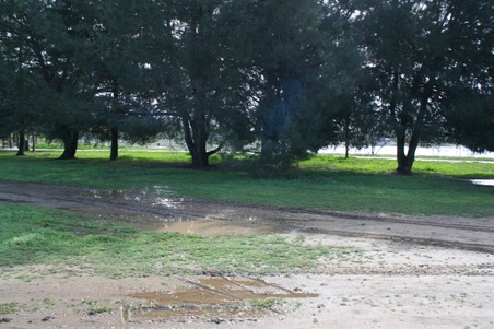 Enlarge photo 36