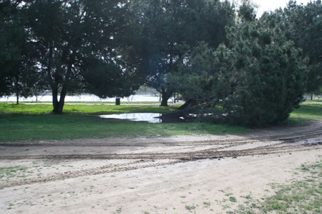 Enlarge photo 37