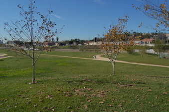 Enlarge photo 14
