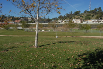Enlarge photo 15