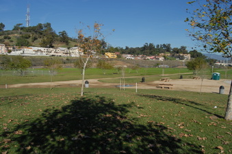 Enlarge photo 16