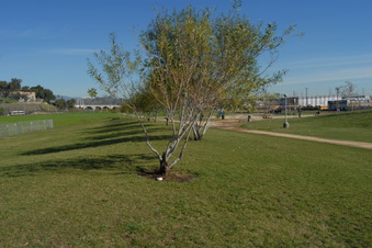 Enlarge photo 24